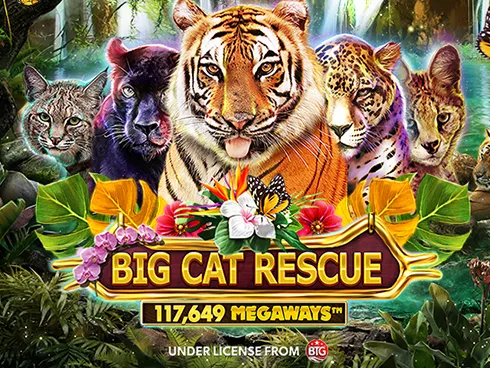 Big Cat Rescue Megaways