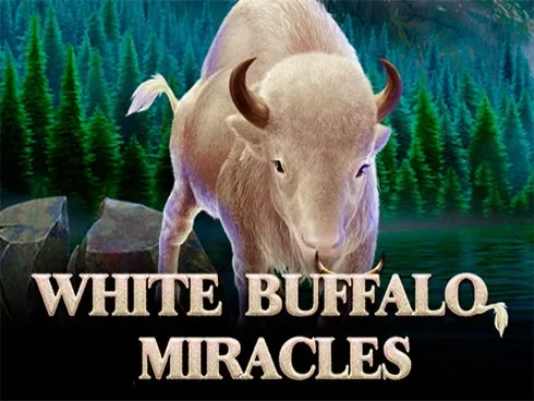 White Buffalo Miracles