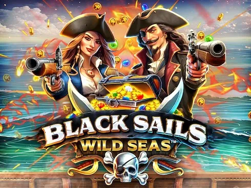 Black Sails Wild Seas