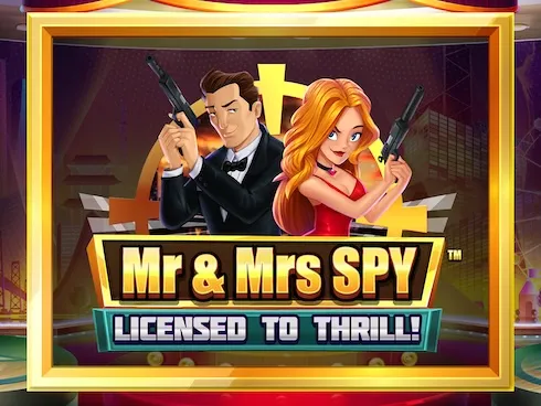 Mr and Mrs Spy