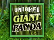 Untamed - Giant Panda