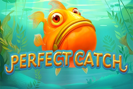 Perfect Catch