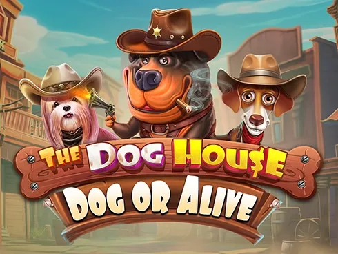 The Dog House ��� Dog or Alive