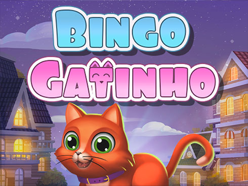 Bingo Gatinho