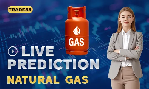 Trade88 NATURAL GAS