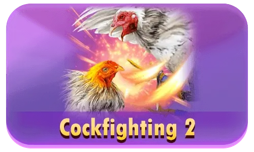 Cockfighting 2